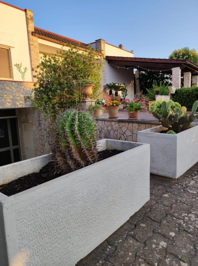 Contrada Macchia B&B Tricase Luaran gambar