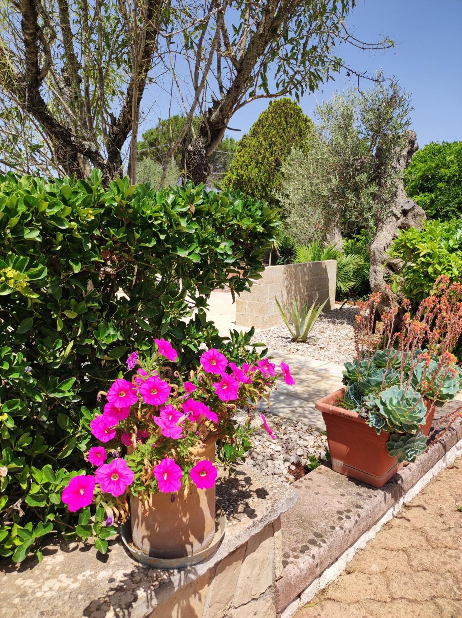 Contrada Macchia B&B Tricase Luaran gambar